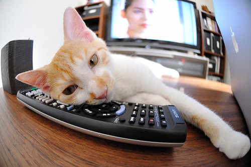 德国媒体：我们低估了塞内加尔的雪地适应能力，塞内加尔最高温度,和最低温度