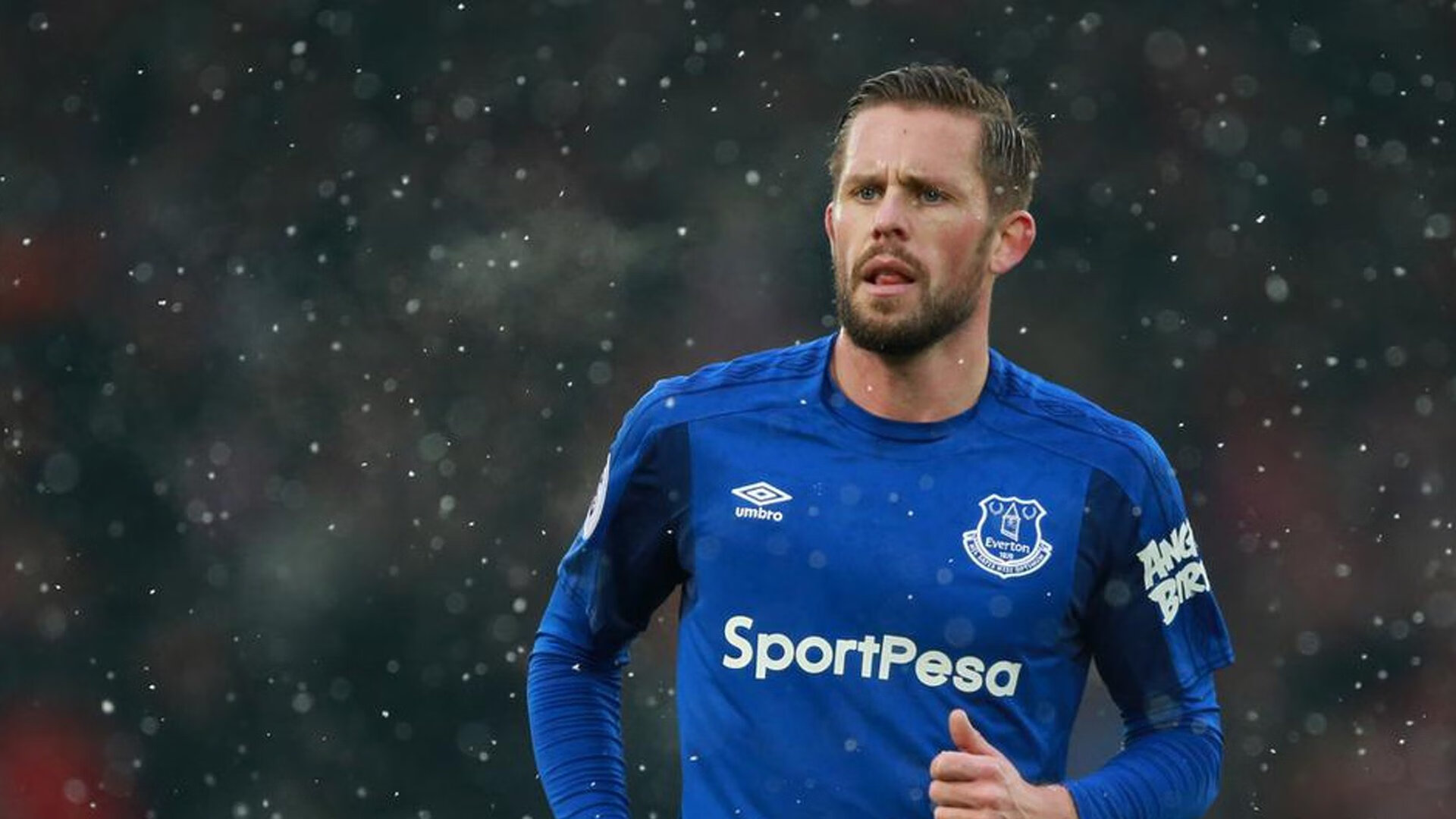 体育频道推出战术深度栏目邀请教练球员解读场上关键节点，体育频道官网