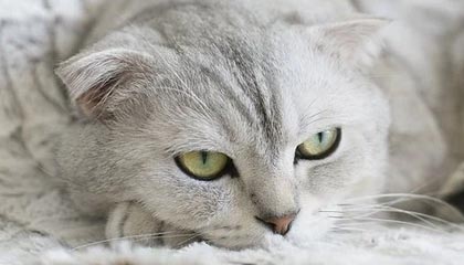 开云体育中国官网-朱婷助球队拿下关键战女排世界杯，朱婷女排吧 朱婷个站