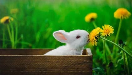 开云体育中国官网-朱婷助球队拿下关键战女排世界杯，朱婷女排吧 朱婷个站