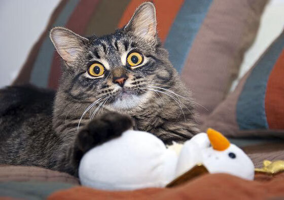 全国青少年“篮球公益行”走进湖南边远山区,湖南省篮球之乡